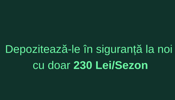 Depozitare roti IArna 